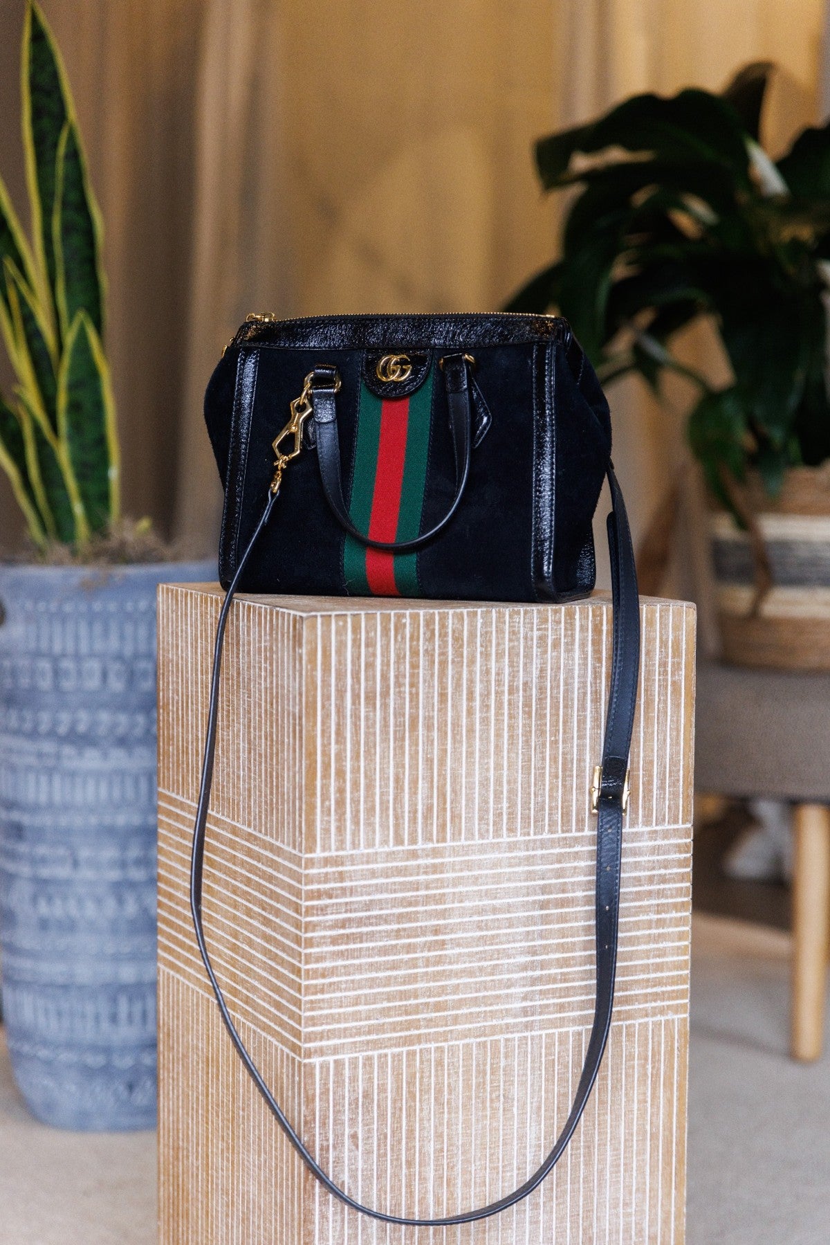Gucci Ophidia Suede