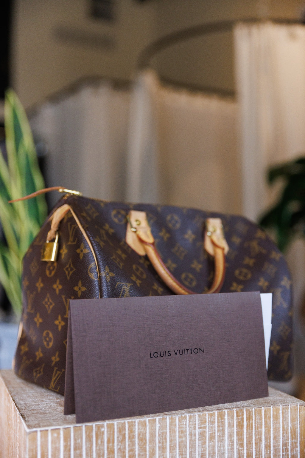 Louis Vuitton Speedy 30 – Monogram Canvas