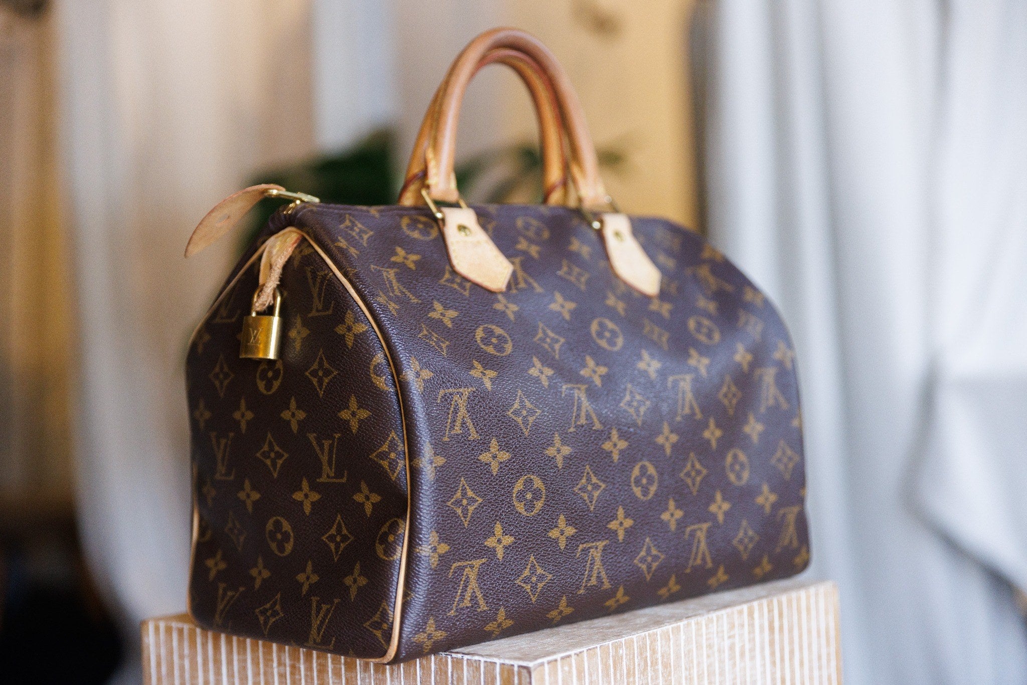 Louis Vuitton Speedy 30 – Monogram Canvas